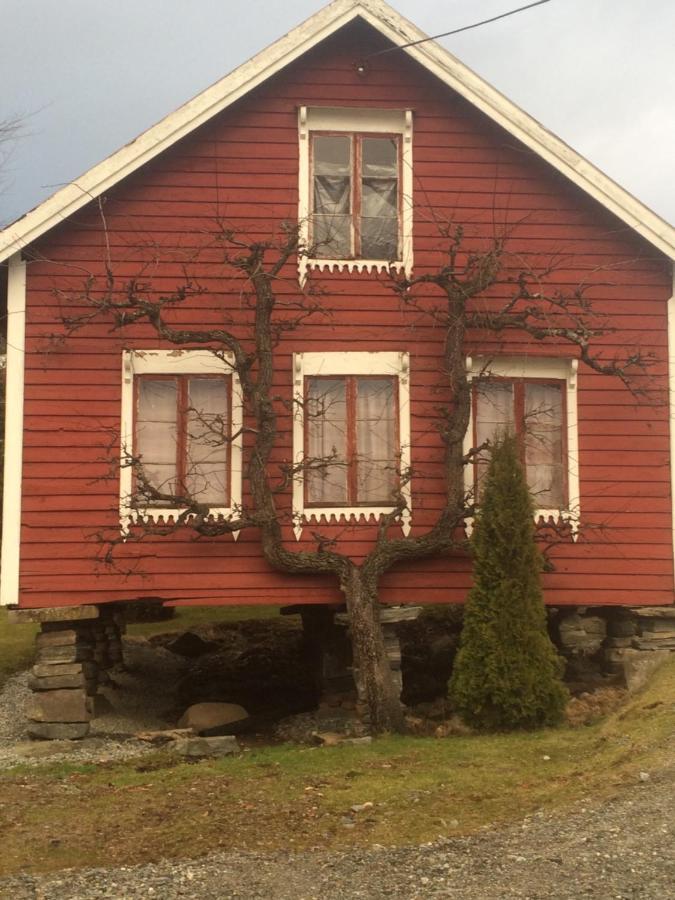 Bed and Breakfast Line Pa Hauane1 Volda Экстерьер фото